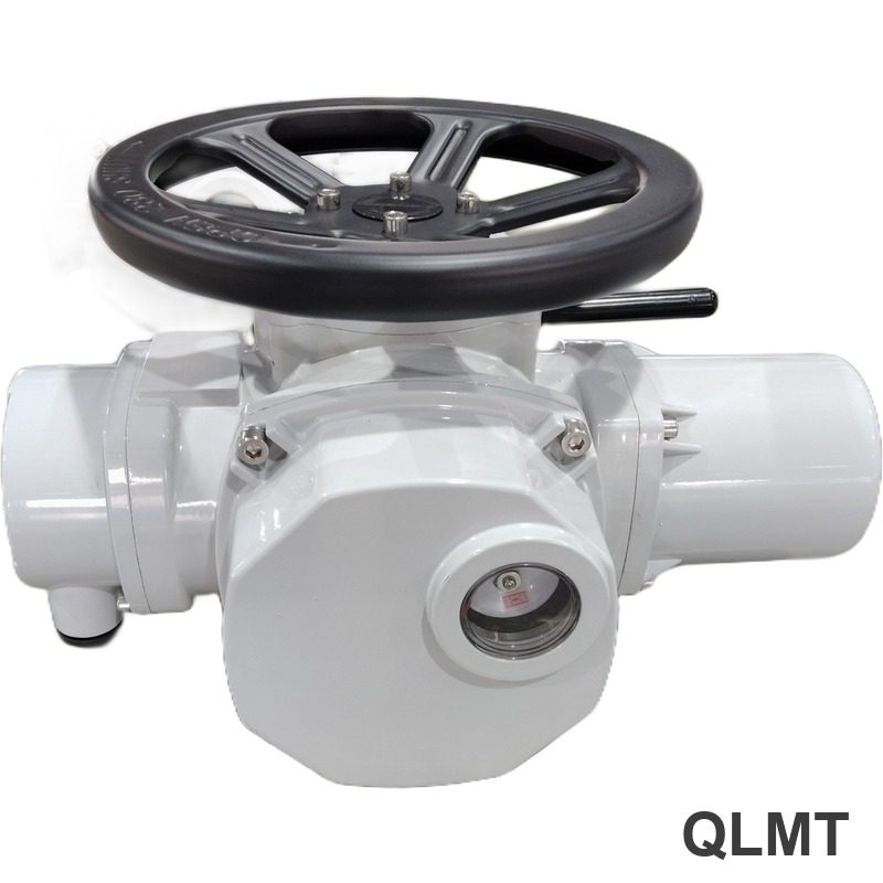 DZW5 Multi-turn Electric Valve Actuator - Valve Actuator - 青岛立费特机械科技有限公司