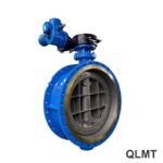 Butterfly Valve
