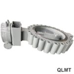 Butterfly Valve